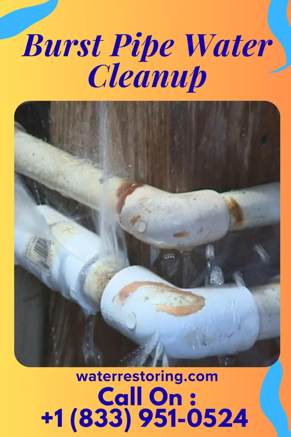 Burst Pipe Water Cleanup in East Berwick, PA