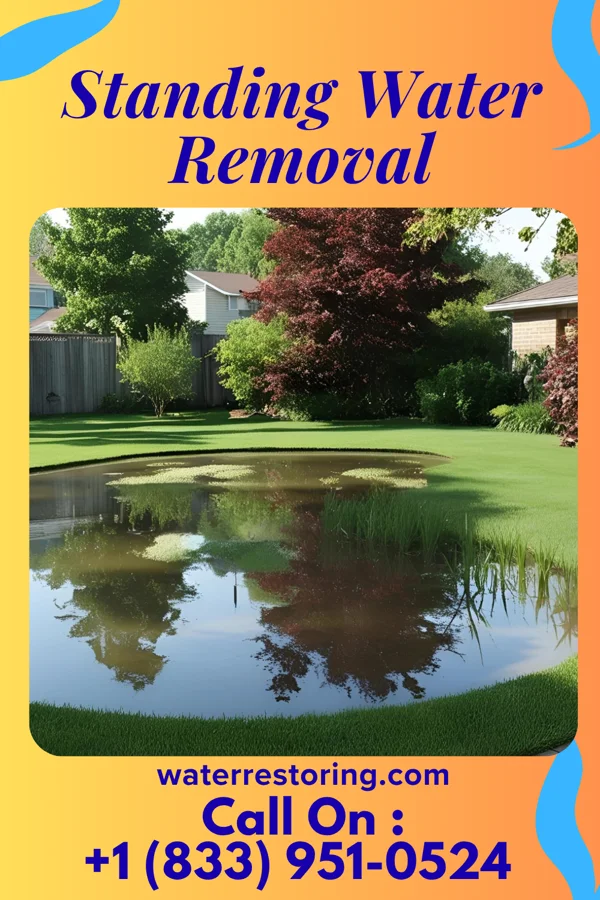 Standing Water Removal in East Berwick, PA